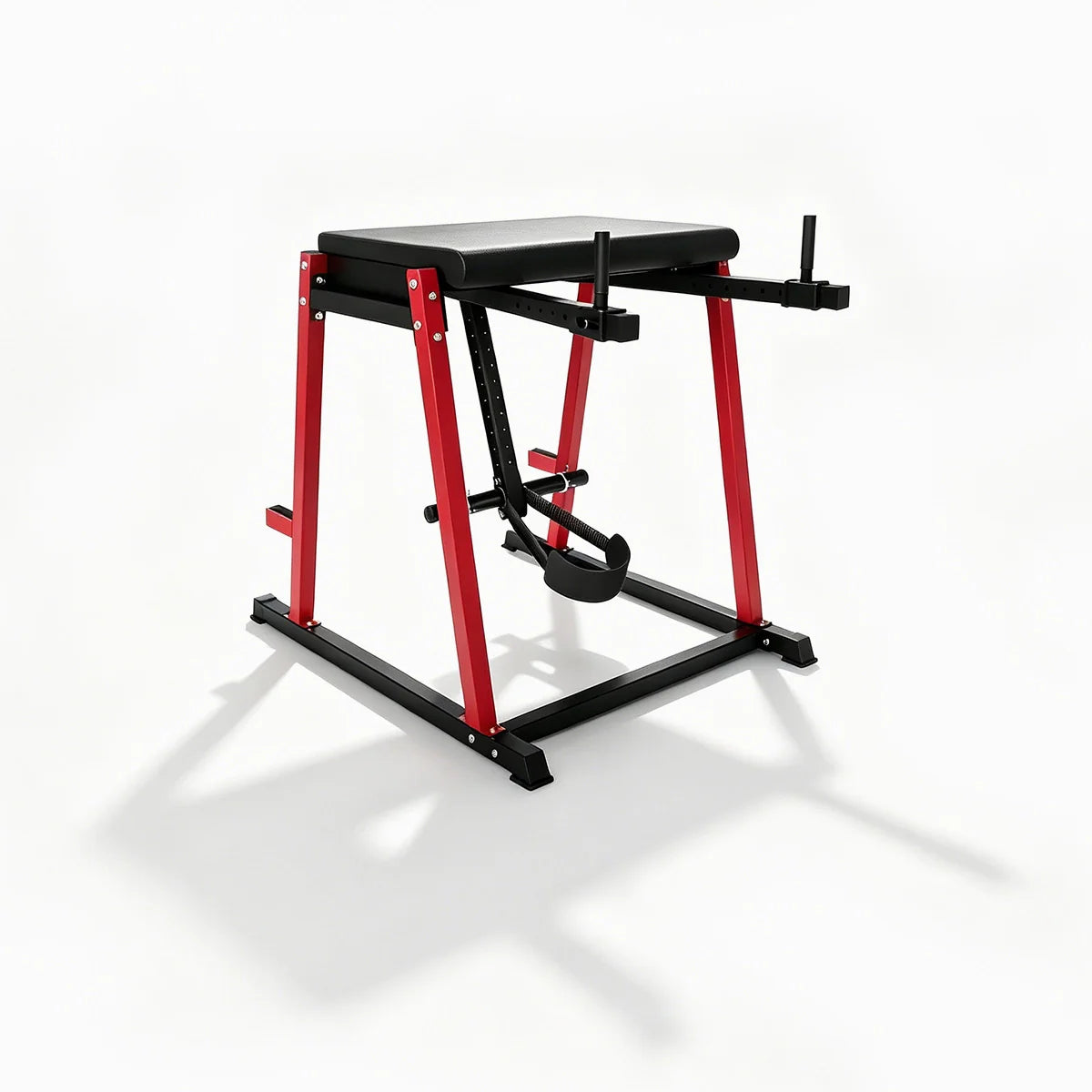Training Accessories