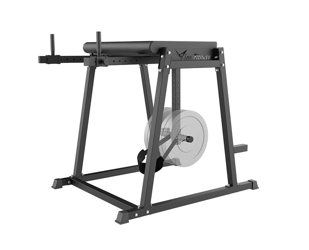 H-PND Reverse Hyperextension Machine